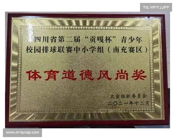以四川城市排球联赛助力三大球振兴试点省份高质量发展探索路径